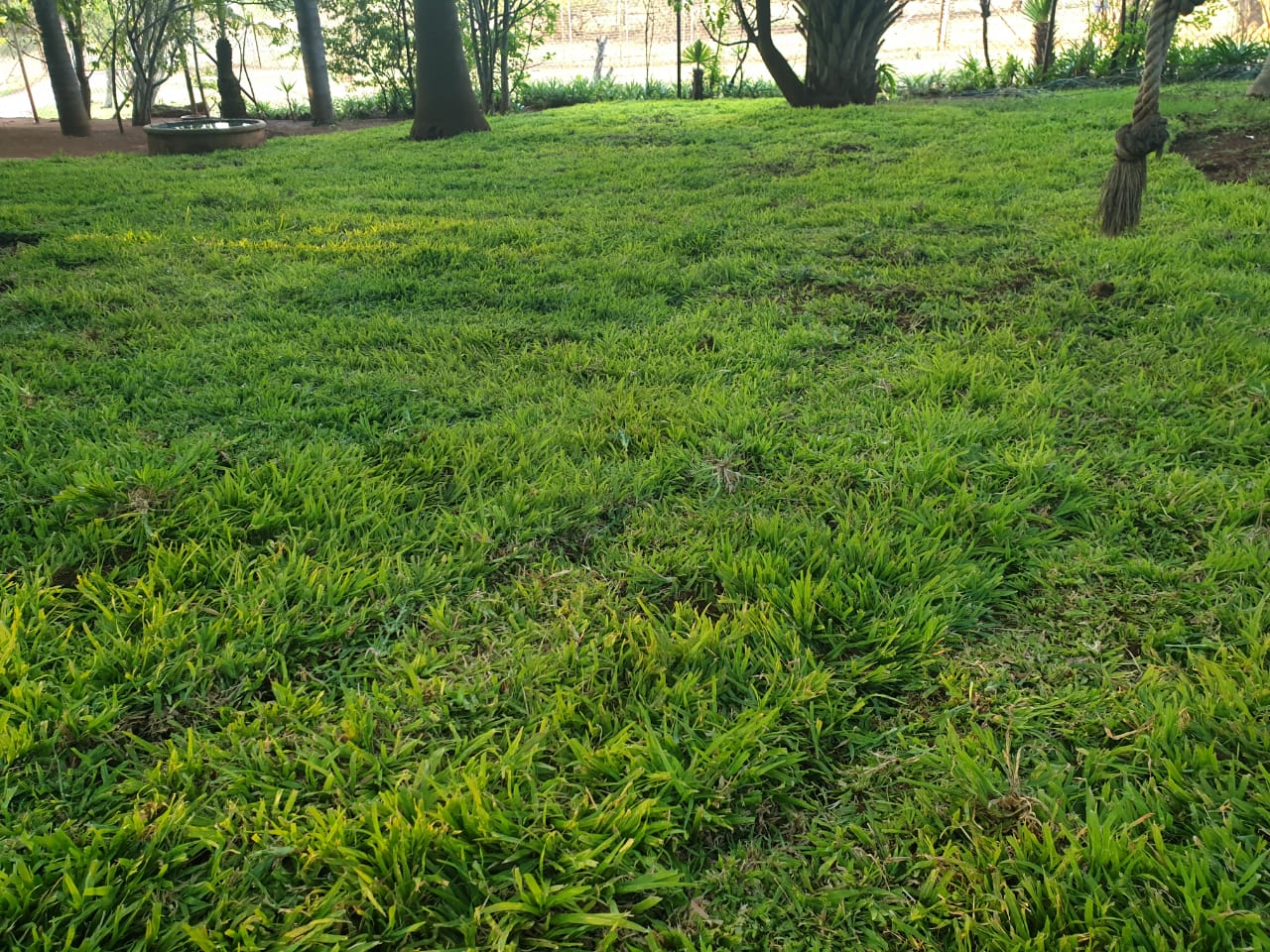 Natural Grass Installation